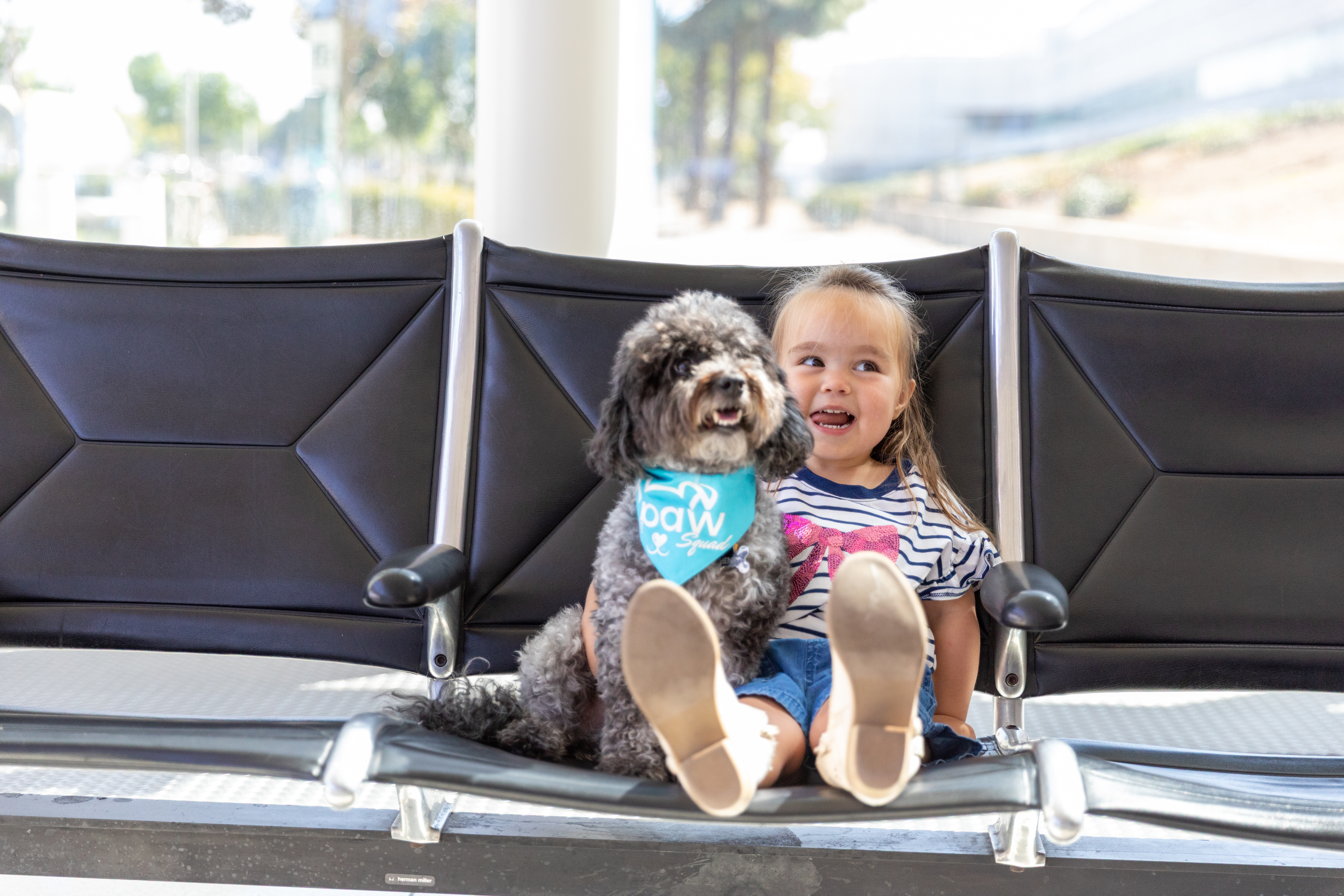 A small gray dog wearing a blue ONT Paw Squad bandana sits with a smiling little girl on chairs in the airport terminal.
