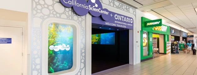 Storefront in a terminal with vibrant blue and green lighting.