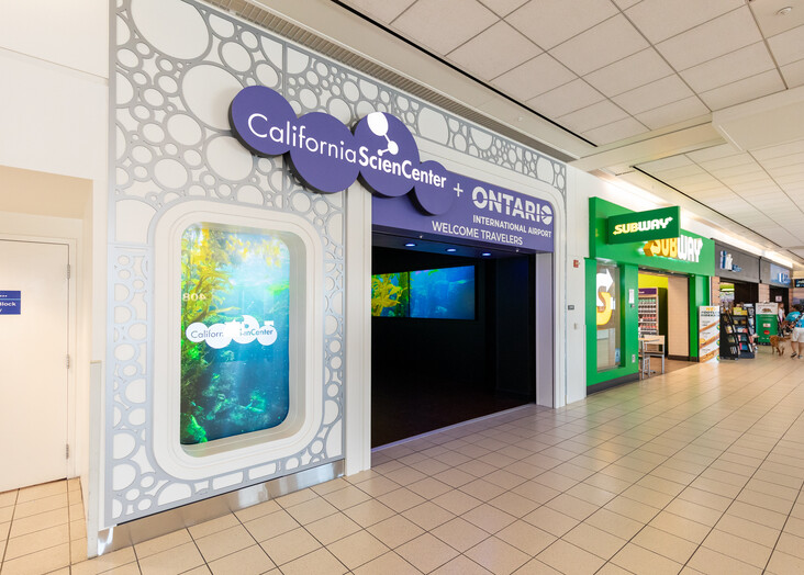 Storefront in a terminal with vibrant blue and green lighting.