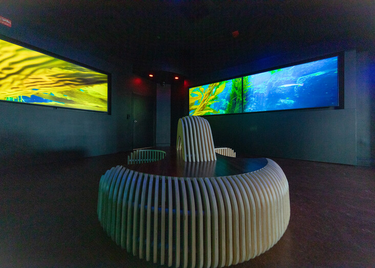 Circular seating in a dark room with two large illuminated digital displays showing underwater scenes.