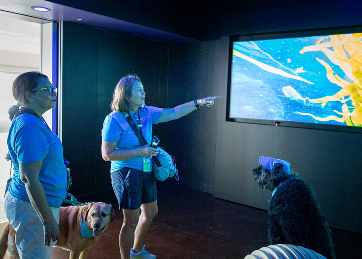 Two people viewing a colorful weather map displayed on a large wall-mounted screen.