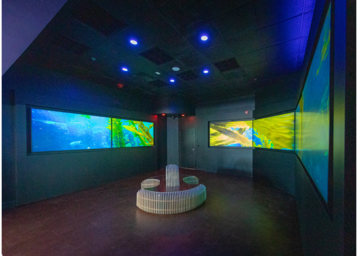 Circular room with multiple projection screens displaying underwater scenes, illuminated by blue lighting.